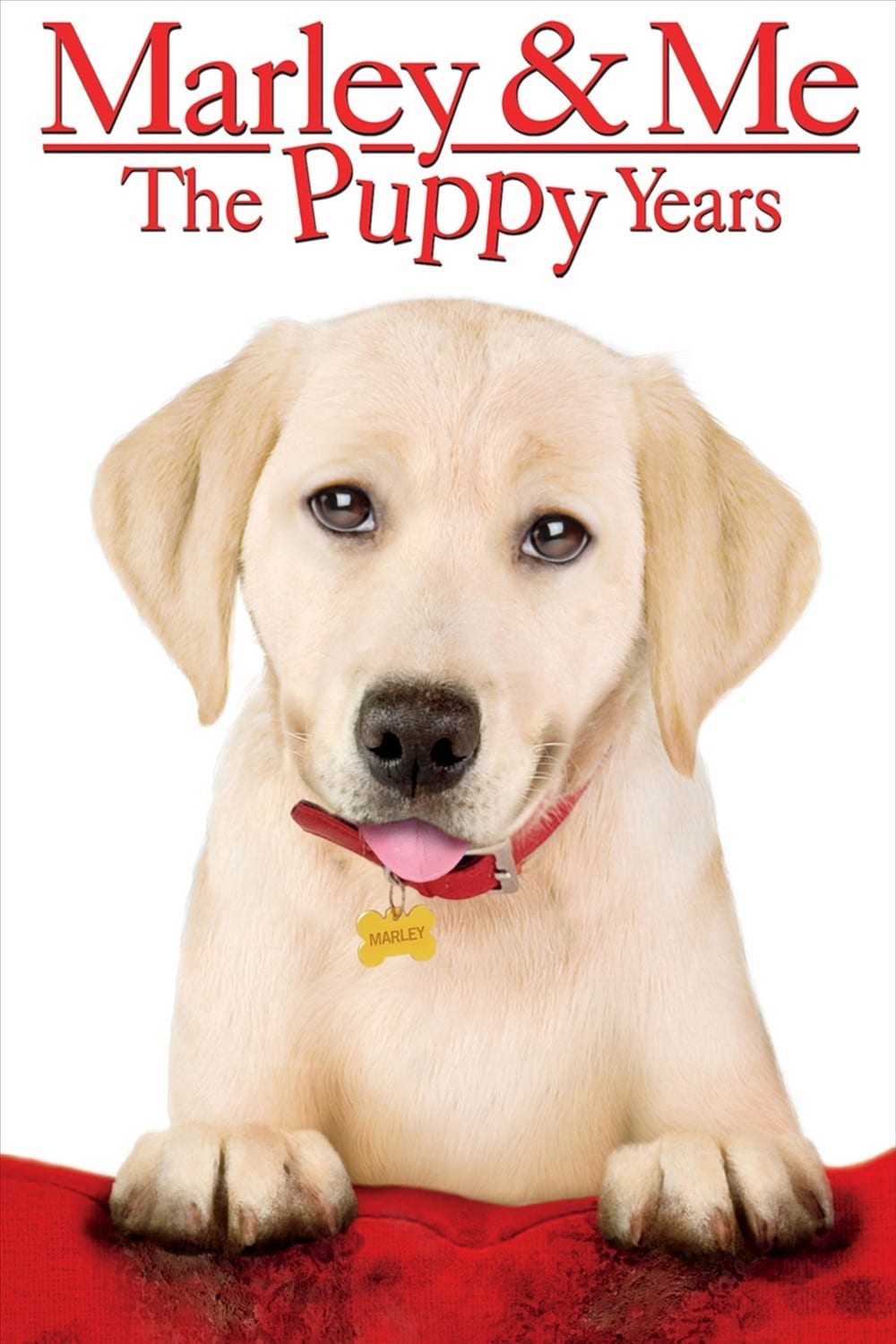 Marley & Me: The Puppy Years | Marley & Me: The Puppy Years