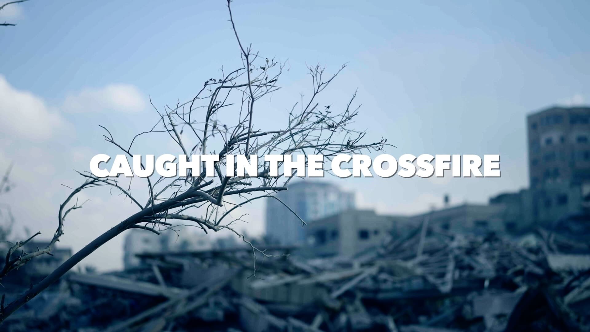 Caught in the crossfire|Caught in the crossfire