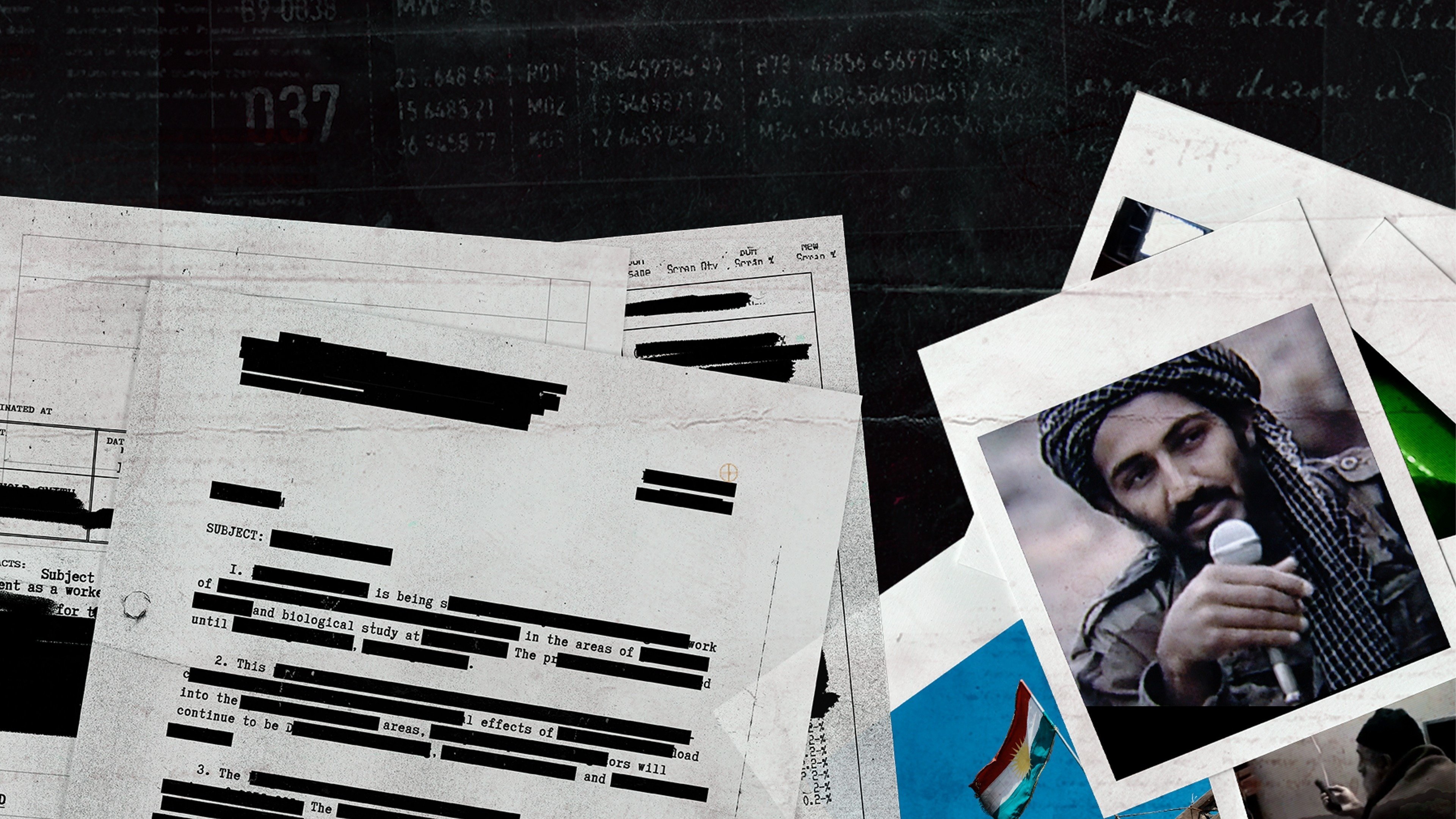 National Geographic Investigates: The Fall of Osama Bin Laden|National Geographic Investigates: The Fall of Osama Bin Laden