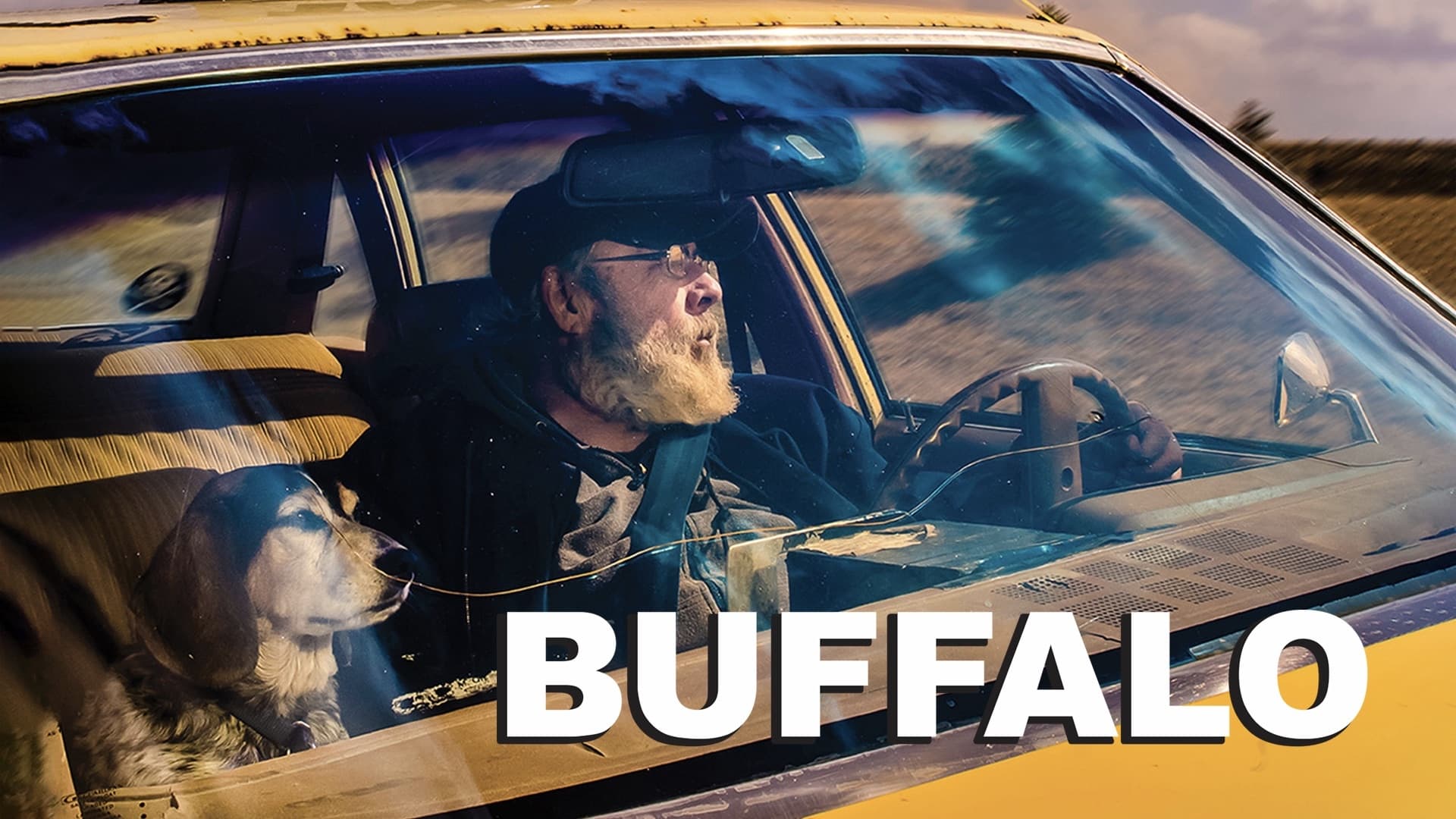 Buffalo|Buffalo