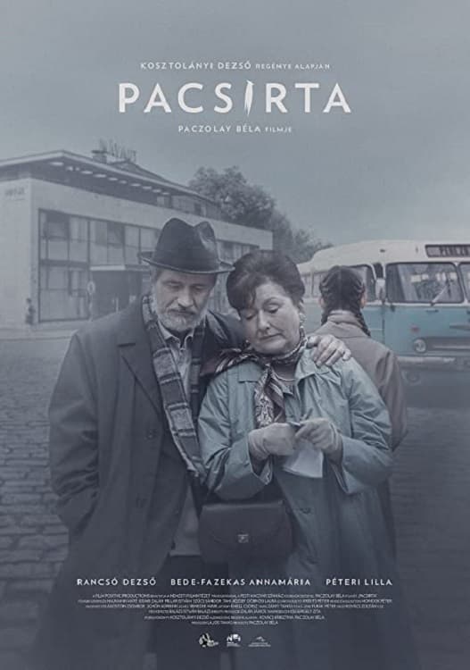 Pacsirta | Pacsirta