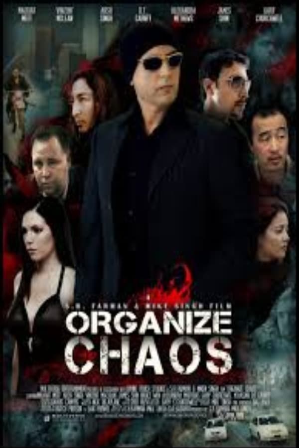 Organize Chaos | Organize Chaos