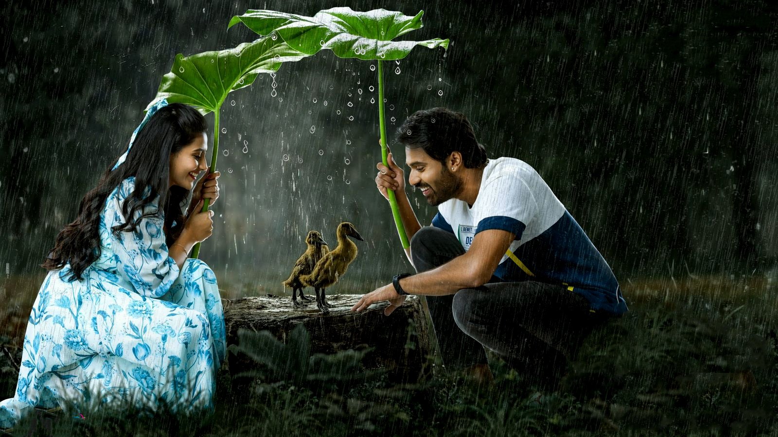 ఆయ్|ఆయ్