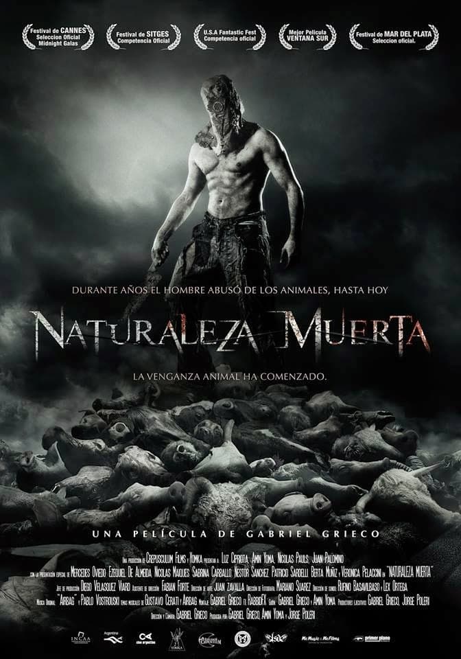 Naturaleza muerta | Naturaleza muerta