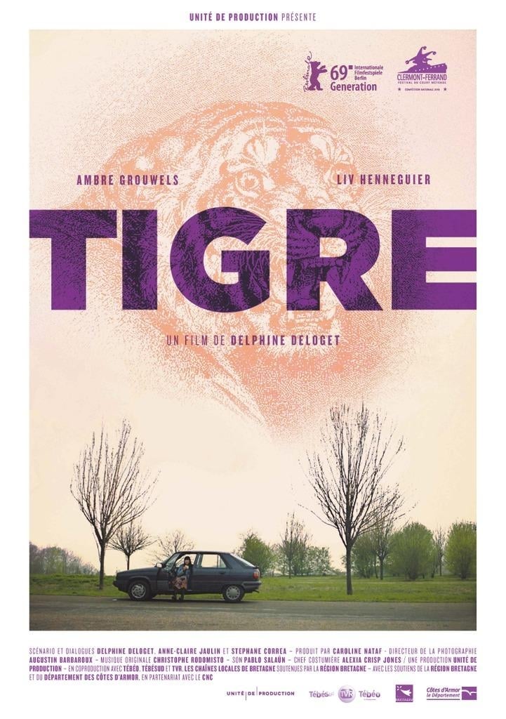 Tigre