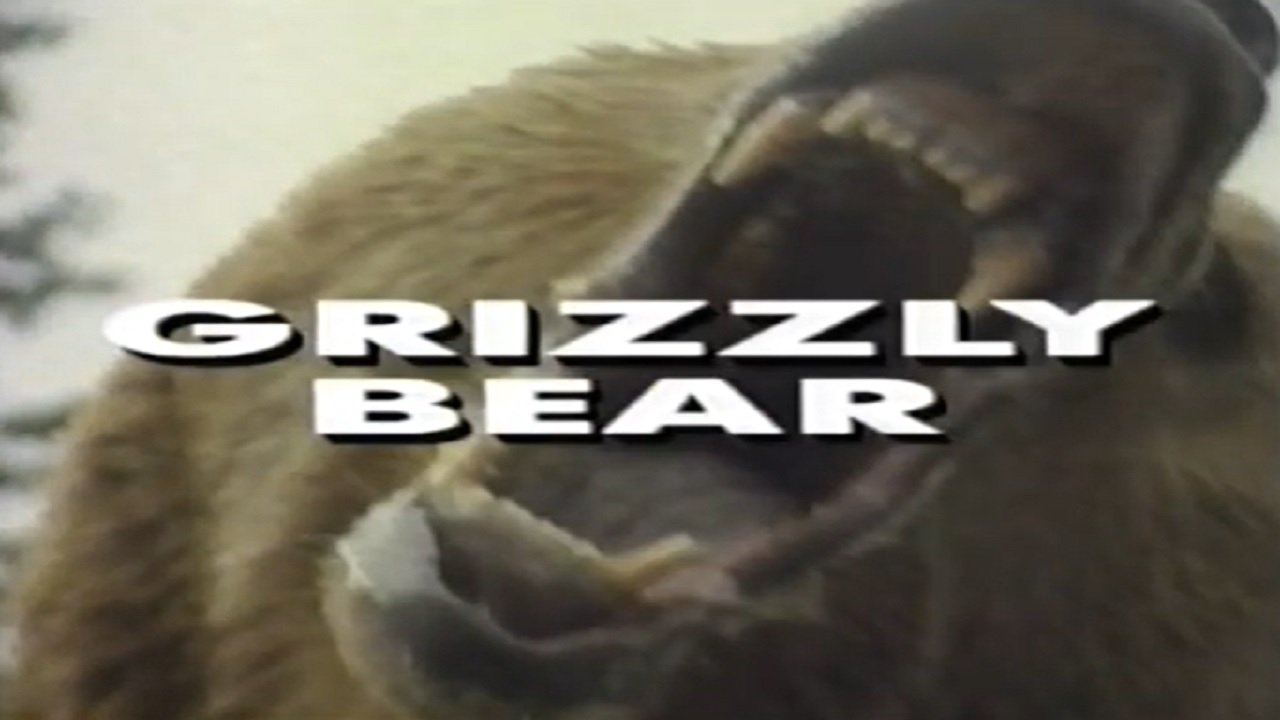 Predators of the Wild: Grizzly Bear|Predators of the Wild: Grizzly Bear
