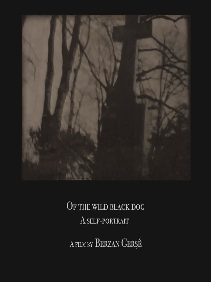 Of The Wild Black Dog | Of The Wild Black Dog