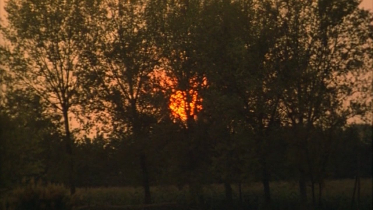 تصویر 0