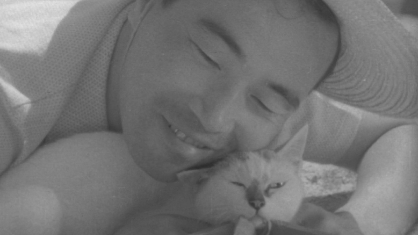 猫と庄造と二人のをんな|猫と庄造と二人のをんな