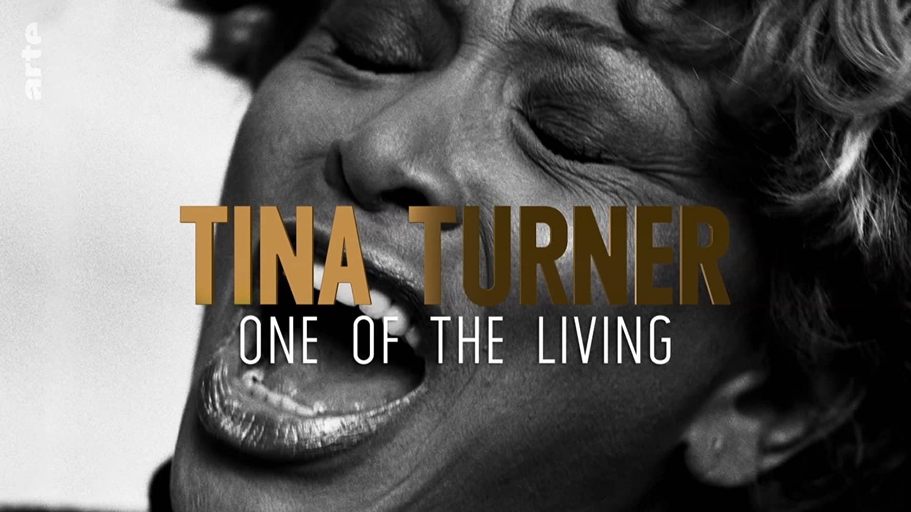 Tina Turner: One of the Living|Tina Turner: One of the Living