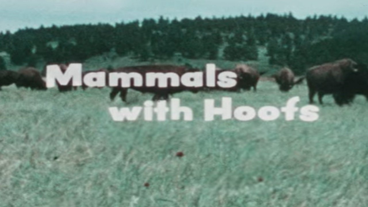 Mammals With Hoofs|Mammals With Hoofs