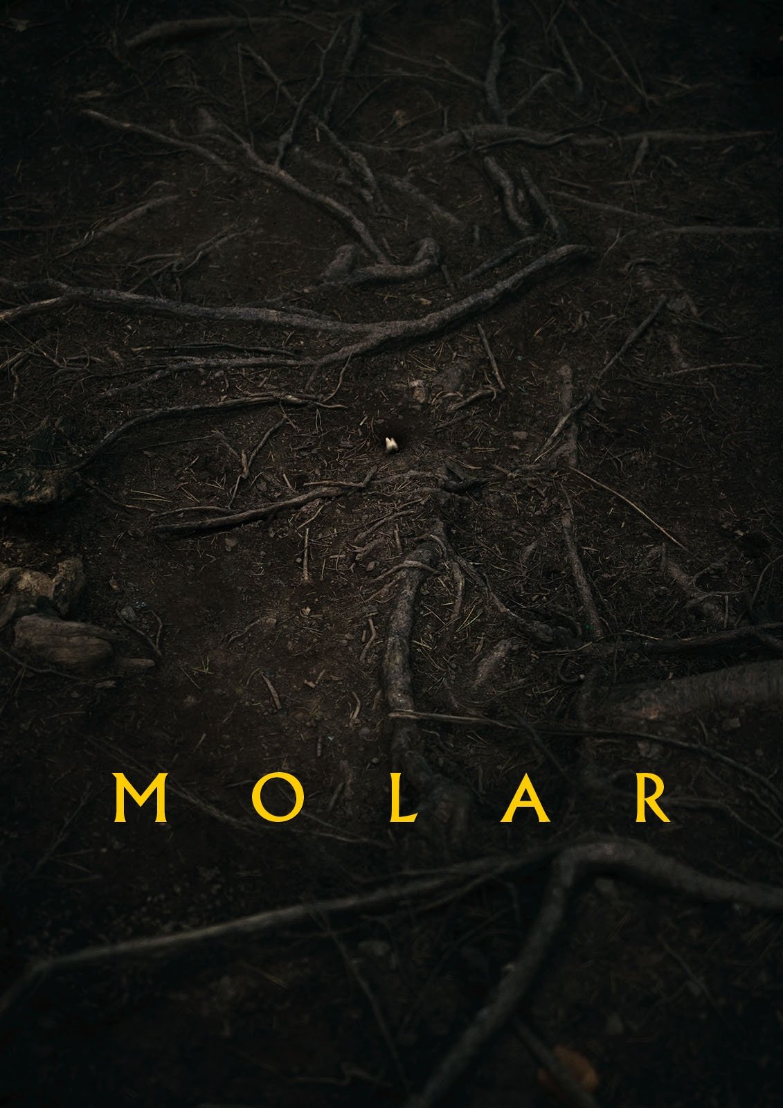 Molar