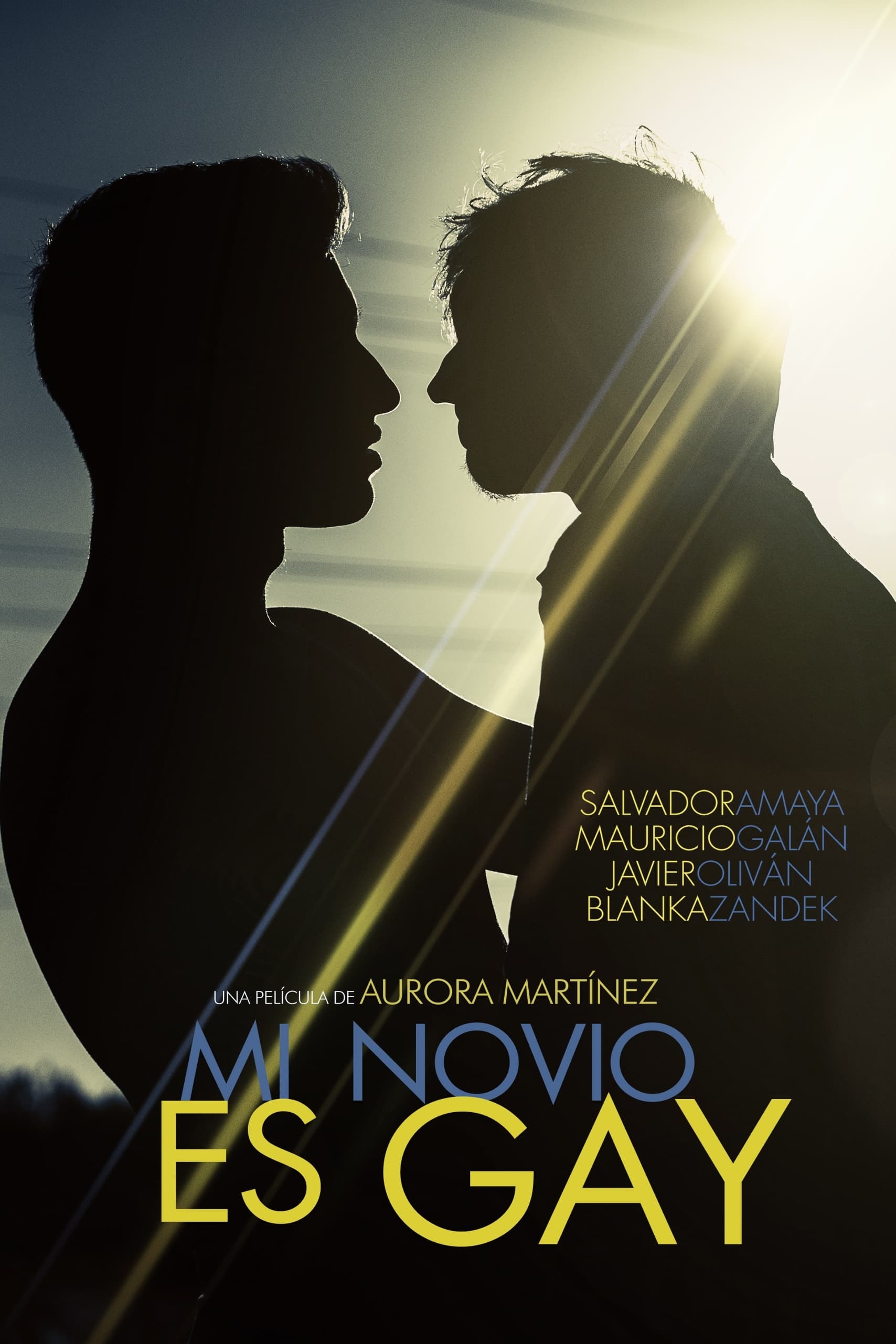 Mi novio es gay | Mi novio es gay