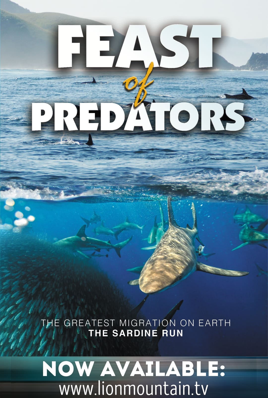 Feast of Predators | Feast of Predators