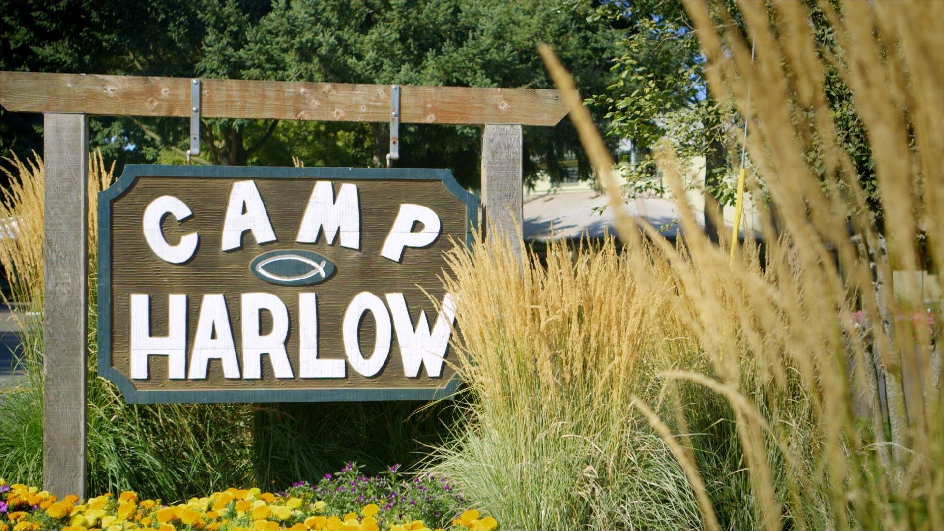Camp Harlow|Camp Harlow