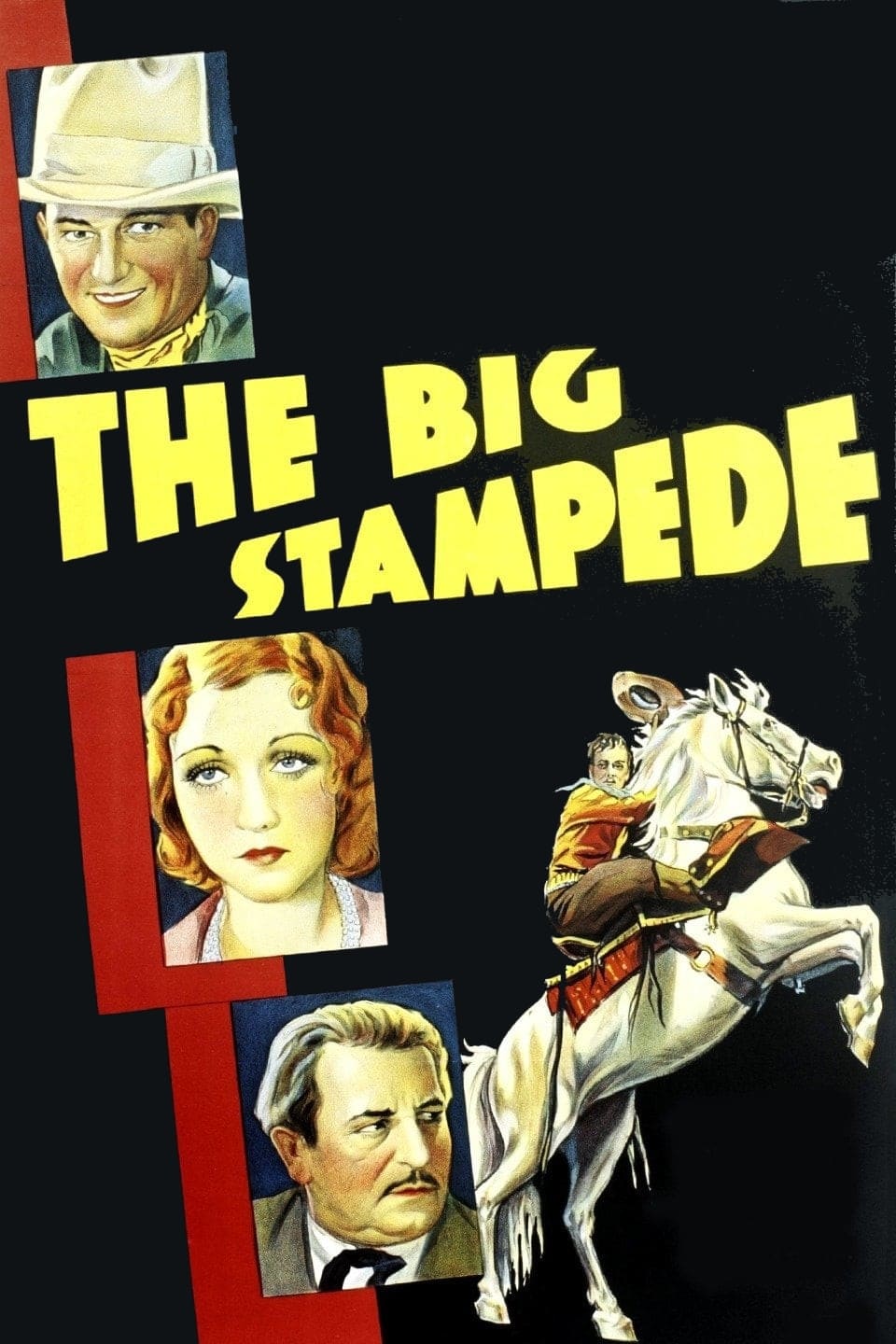 The Big Stampede | The Big Stampede