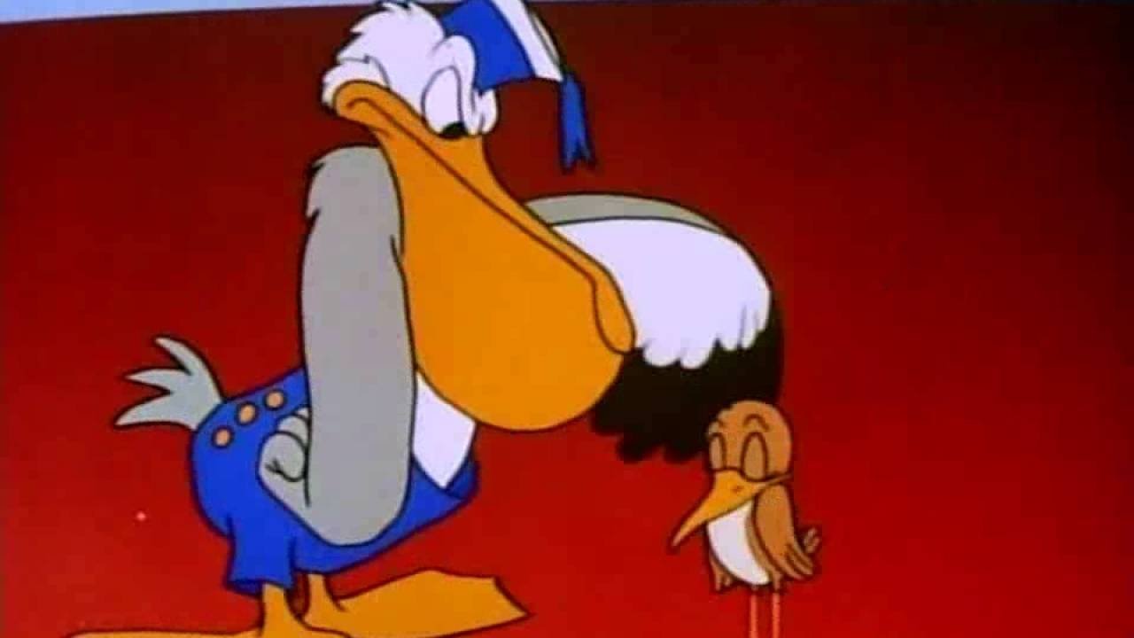 The Pelican and the Snipe|The Pelican and the Snipe