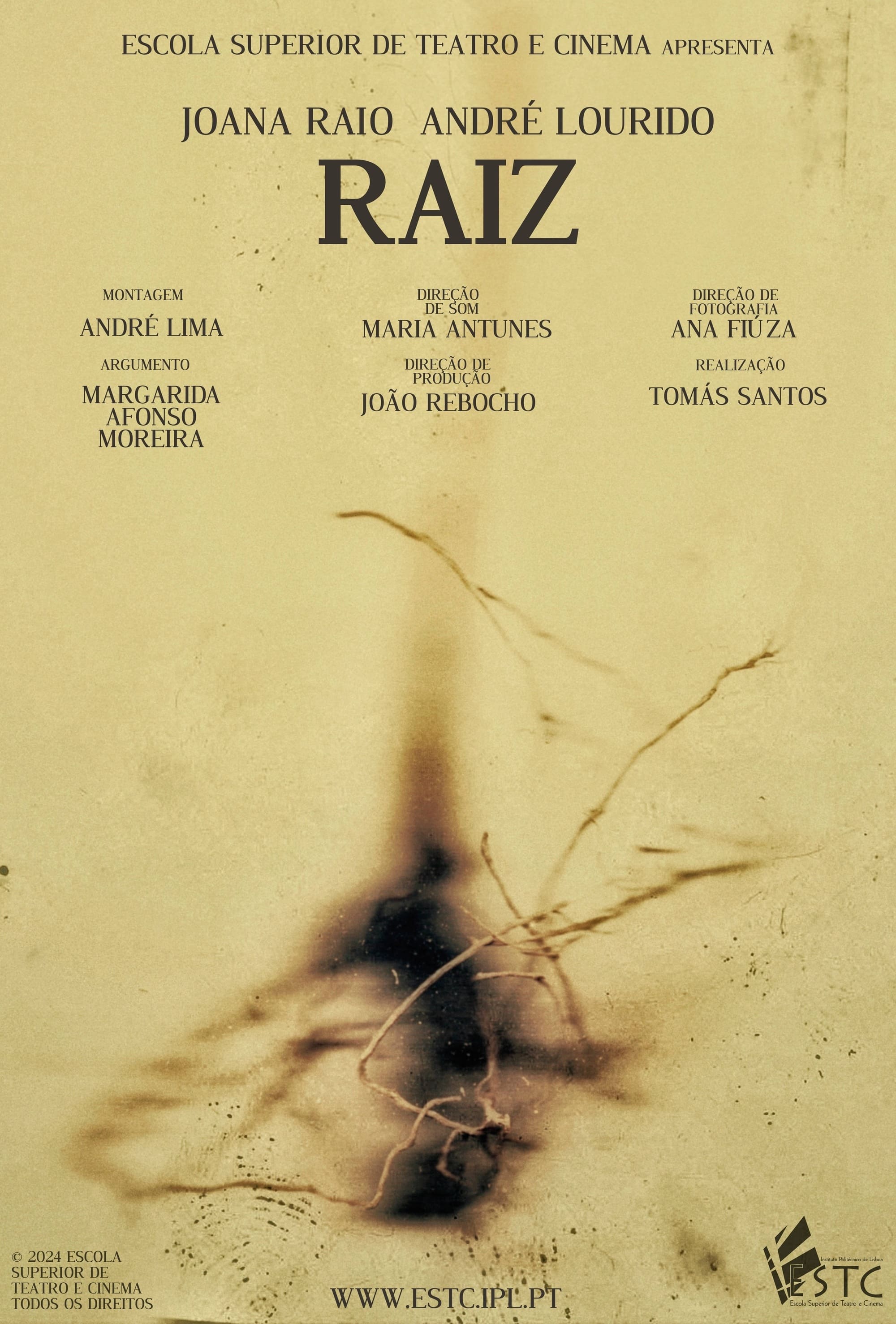 Raiz | Raiz