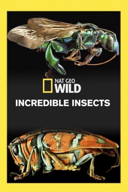 Incredible Insects | Incredible Insects