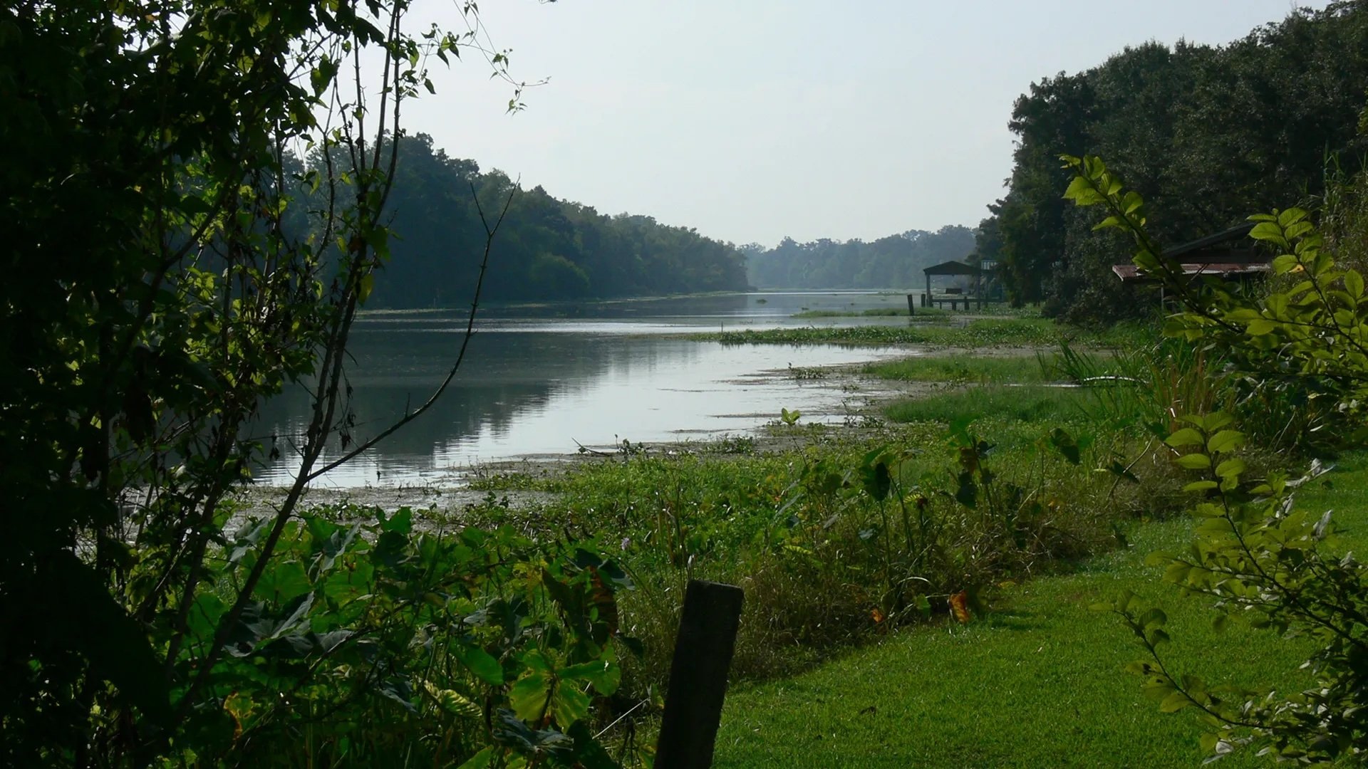 Rivers and Life|Rivers and Life