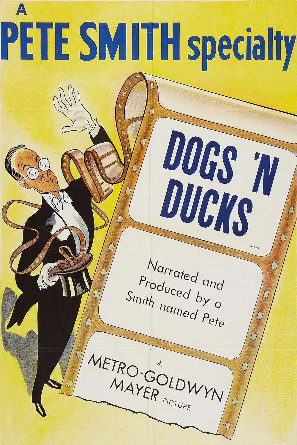 Dogs 'n Ducks | Dogs 'n Ducks