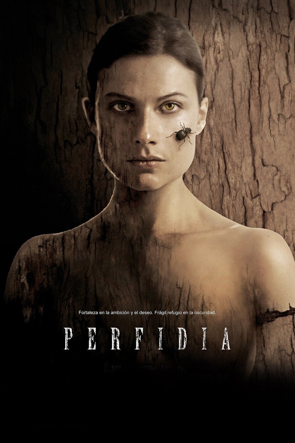 Perfidia | Perfidia