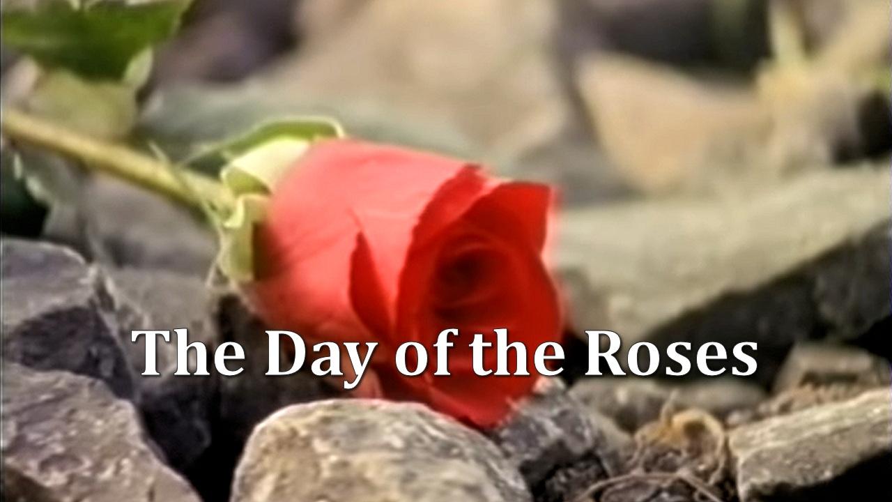 The Day of the Roses|The Day of the Roses