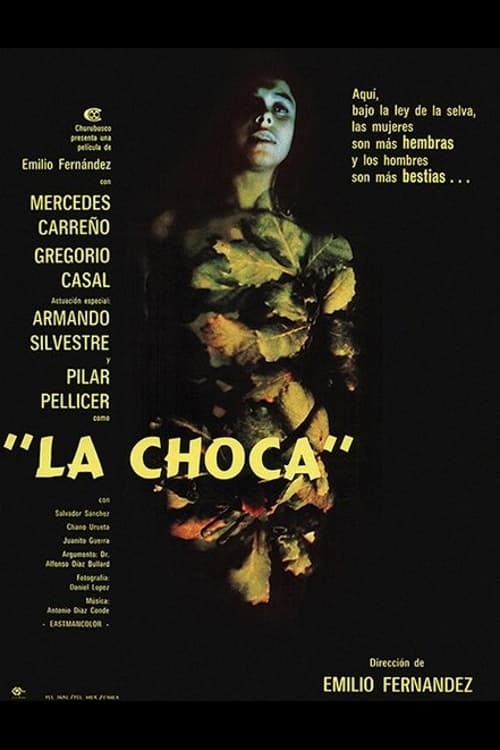 La Choca | La Choca