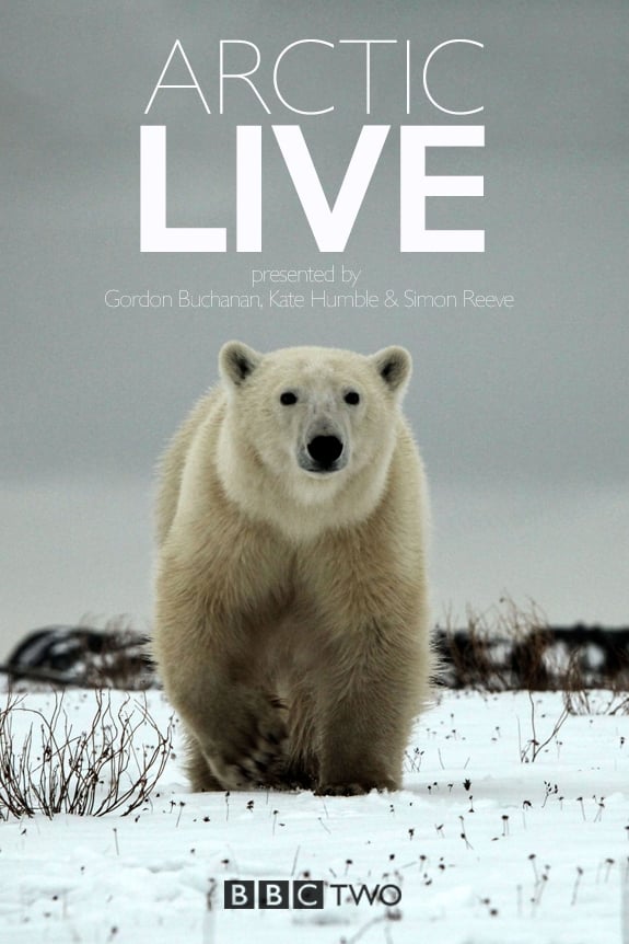 Arctic Live | Arctic Live