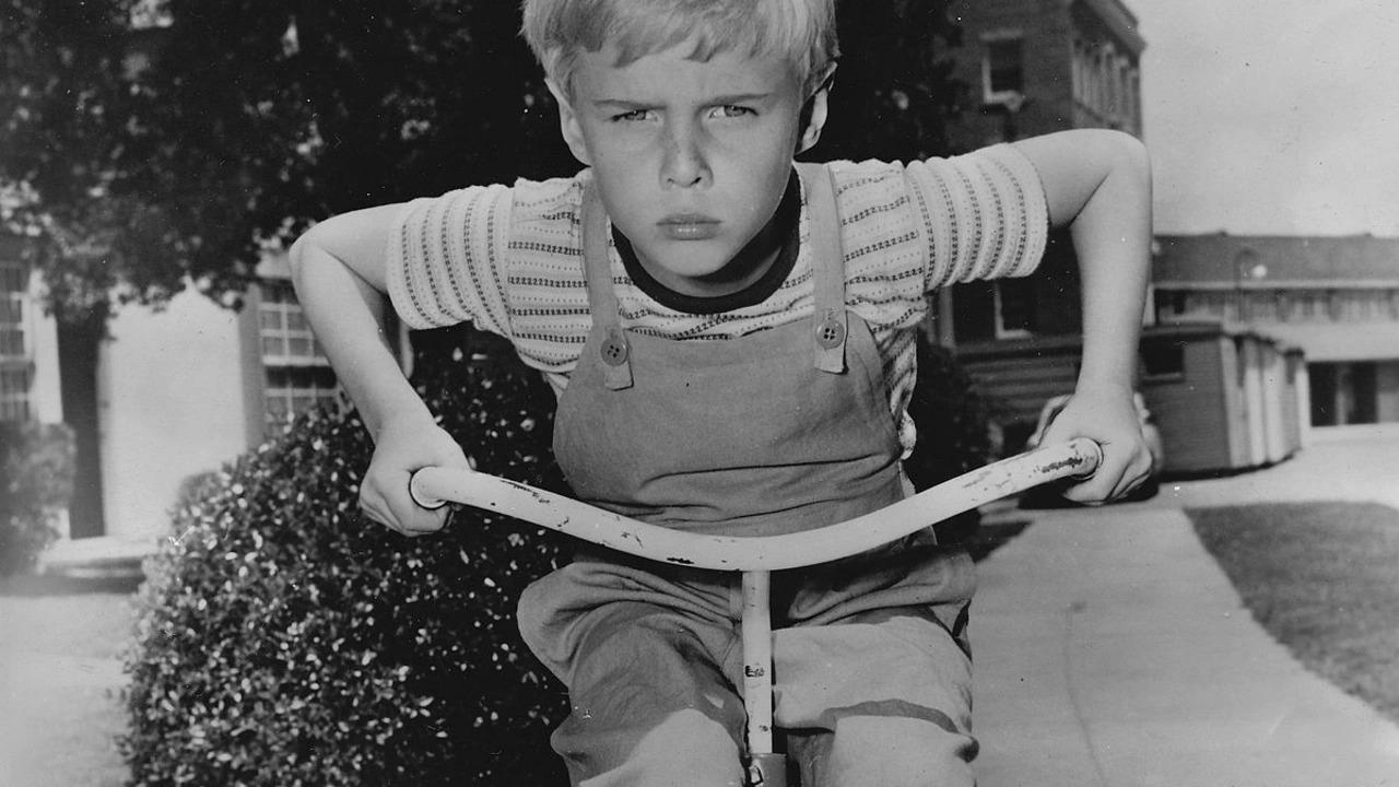 Dennis the Menace|Dennis the Menace