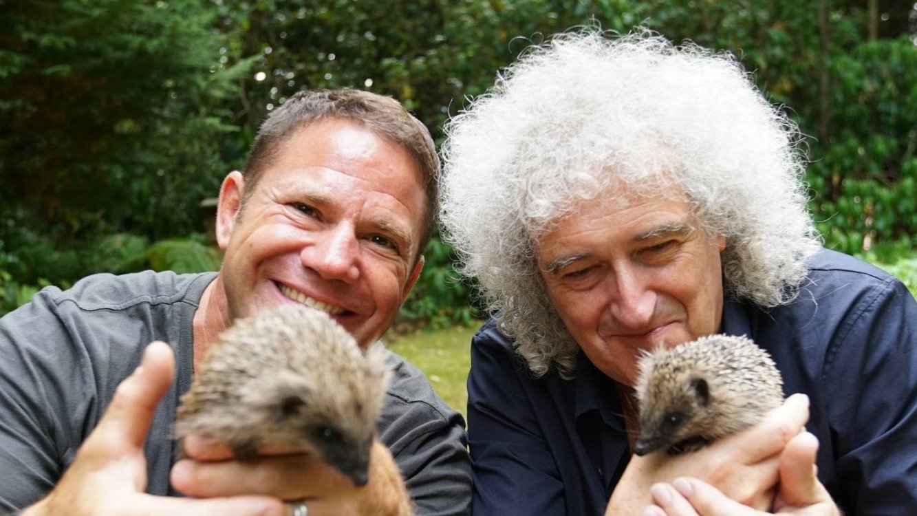 Meet the Hedgehogs|Meet the Hedgehogs