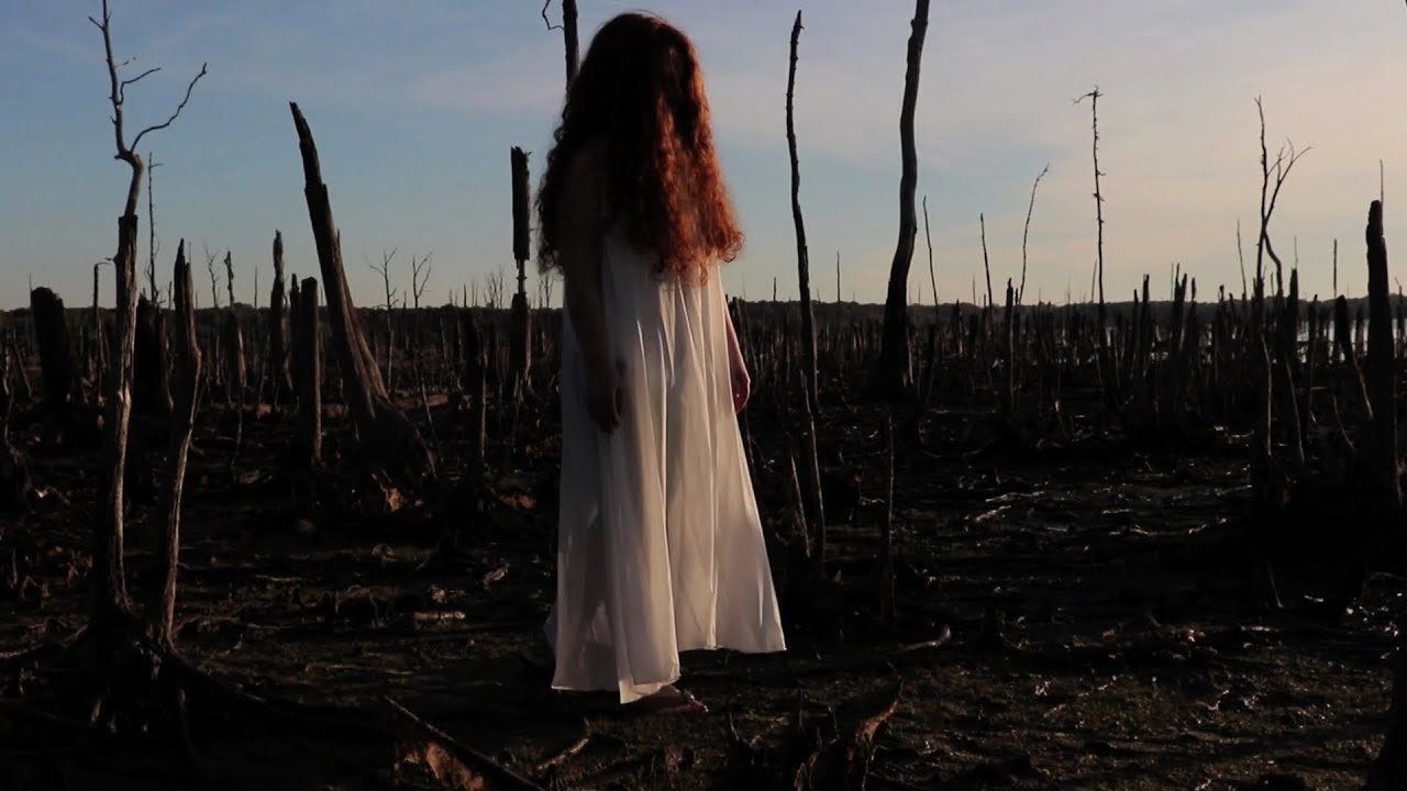 The Girl in the Cornfield|The Girl in the Cornfield