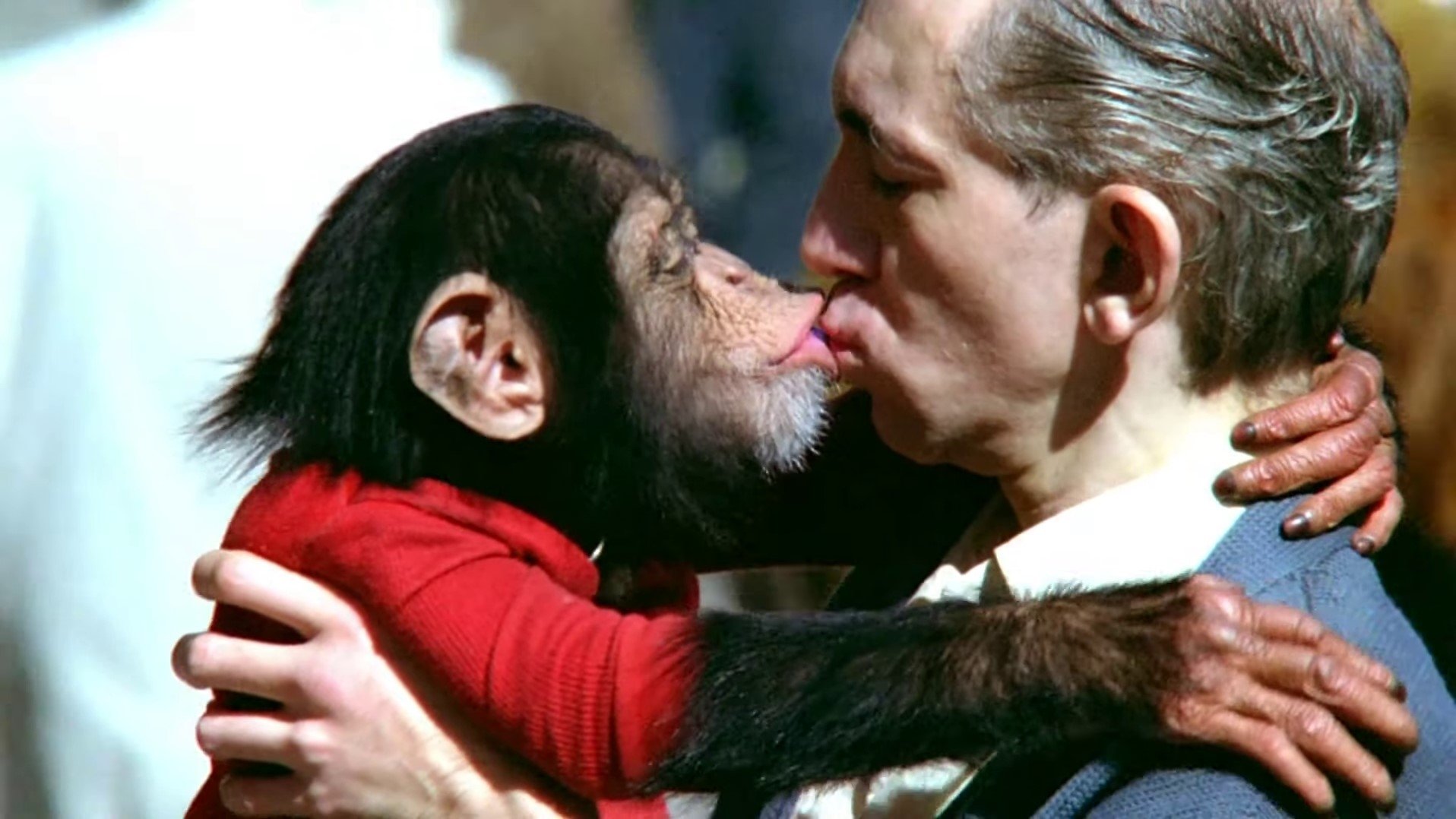 Manimals|Manimals