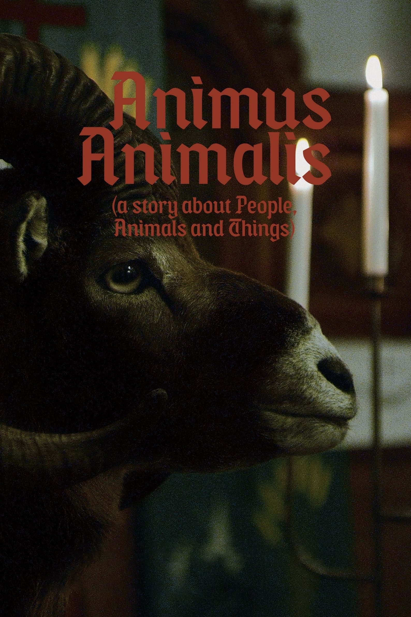 Animus Animalis (istorija apie žmones, žvėris ir daiktus)