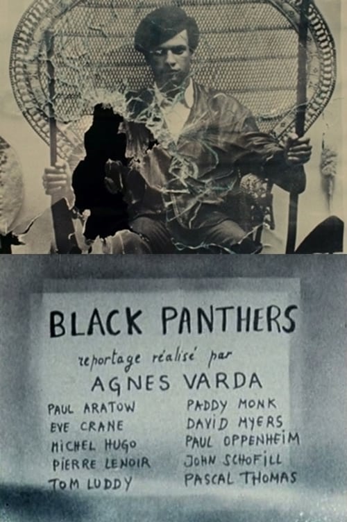 Black Panthers | Black Panthers