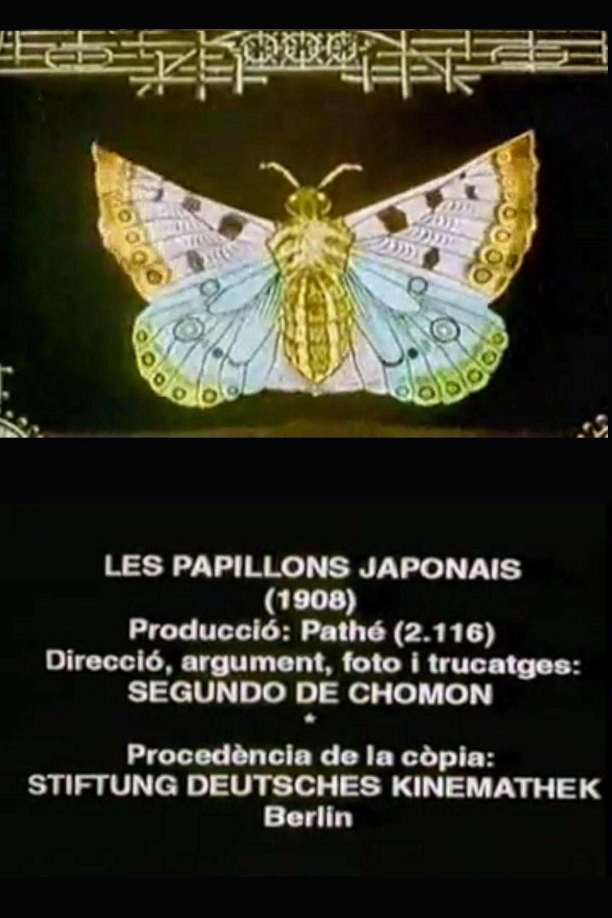 Les Papillons japonais | Les Papillons japonais