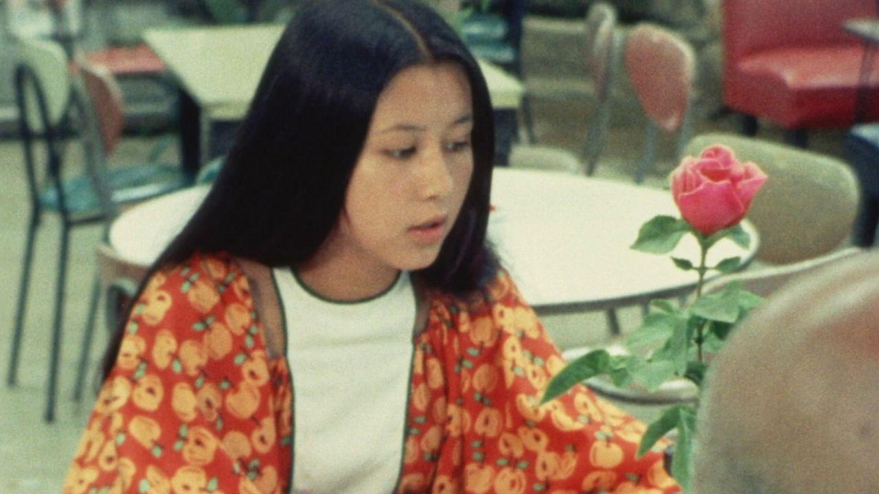 夏の妹|夏の妹
