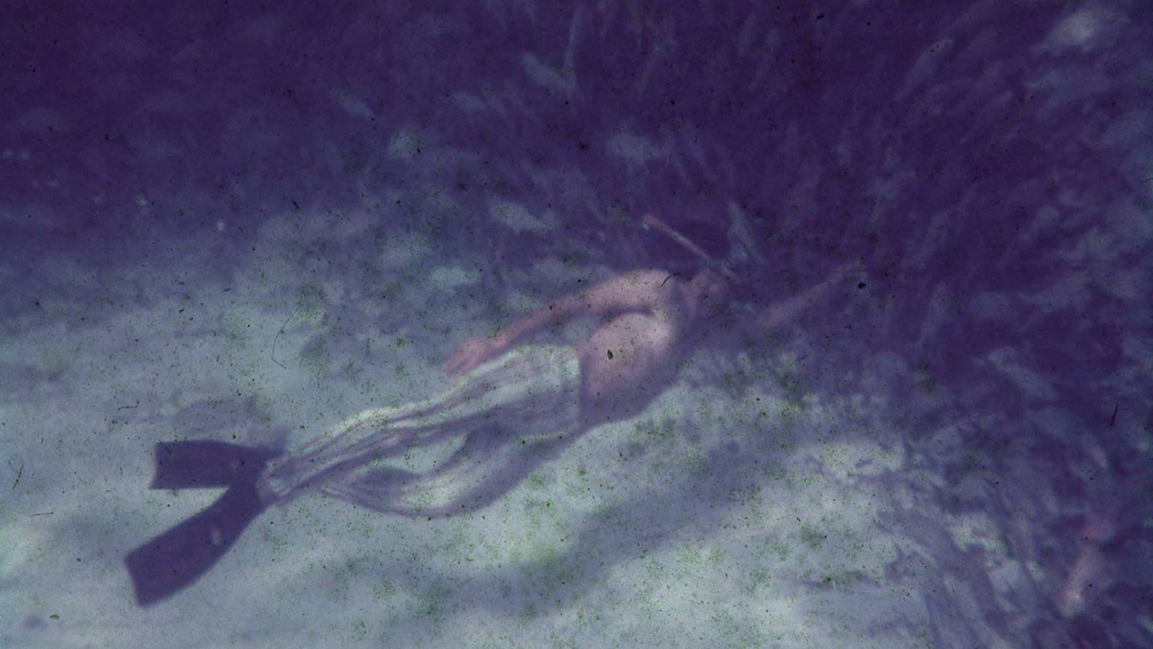 Saved From The Waters|Saved From The Waters