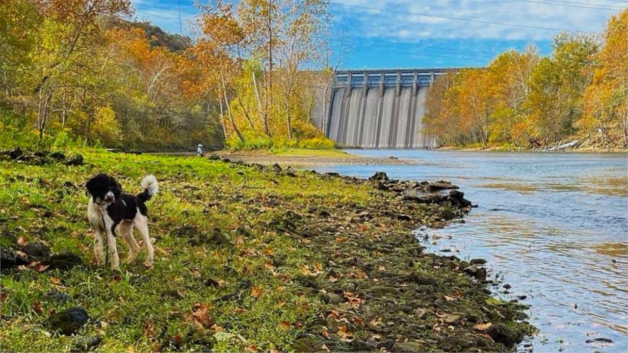 Femboy Fishing|Femboy Fishing