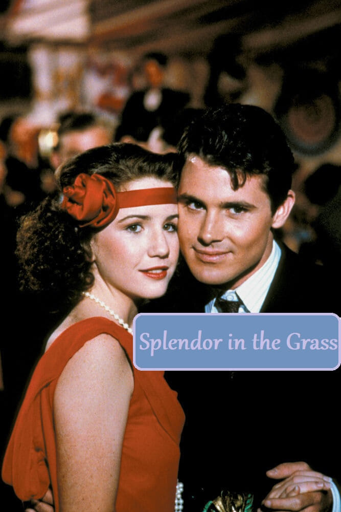 Splendor in the Grass | Splendor in the Grass