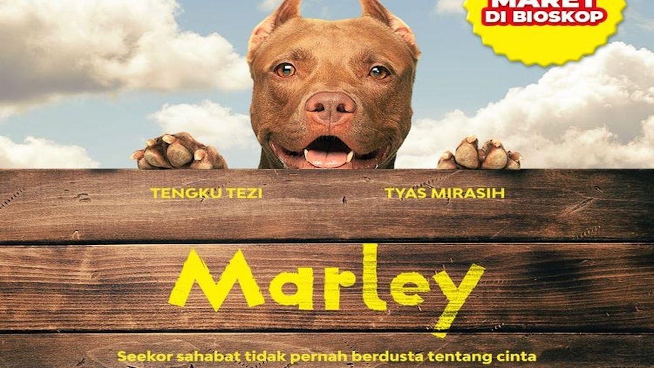 Marley|Marley