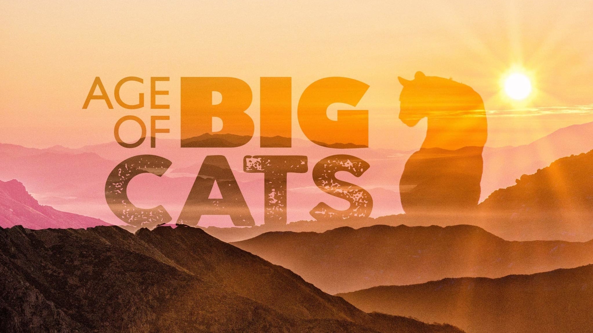 Age of Big Cats|Age of Big Cats