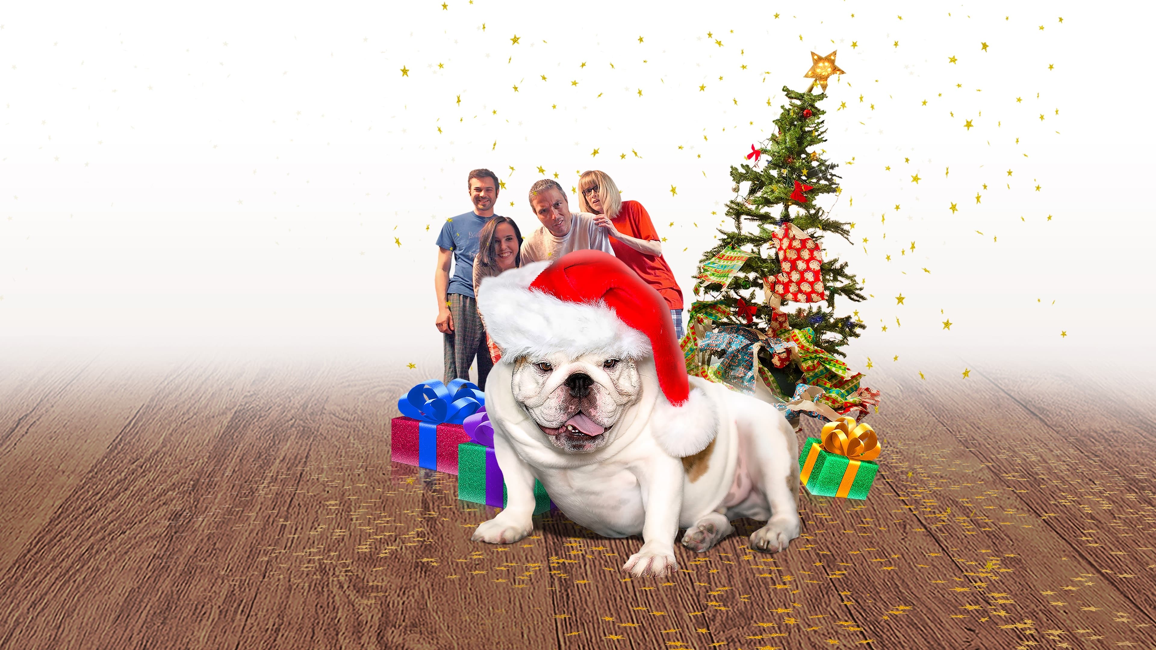 A Bulldog for Christmas|A Bulldog for Christmas