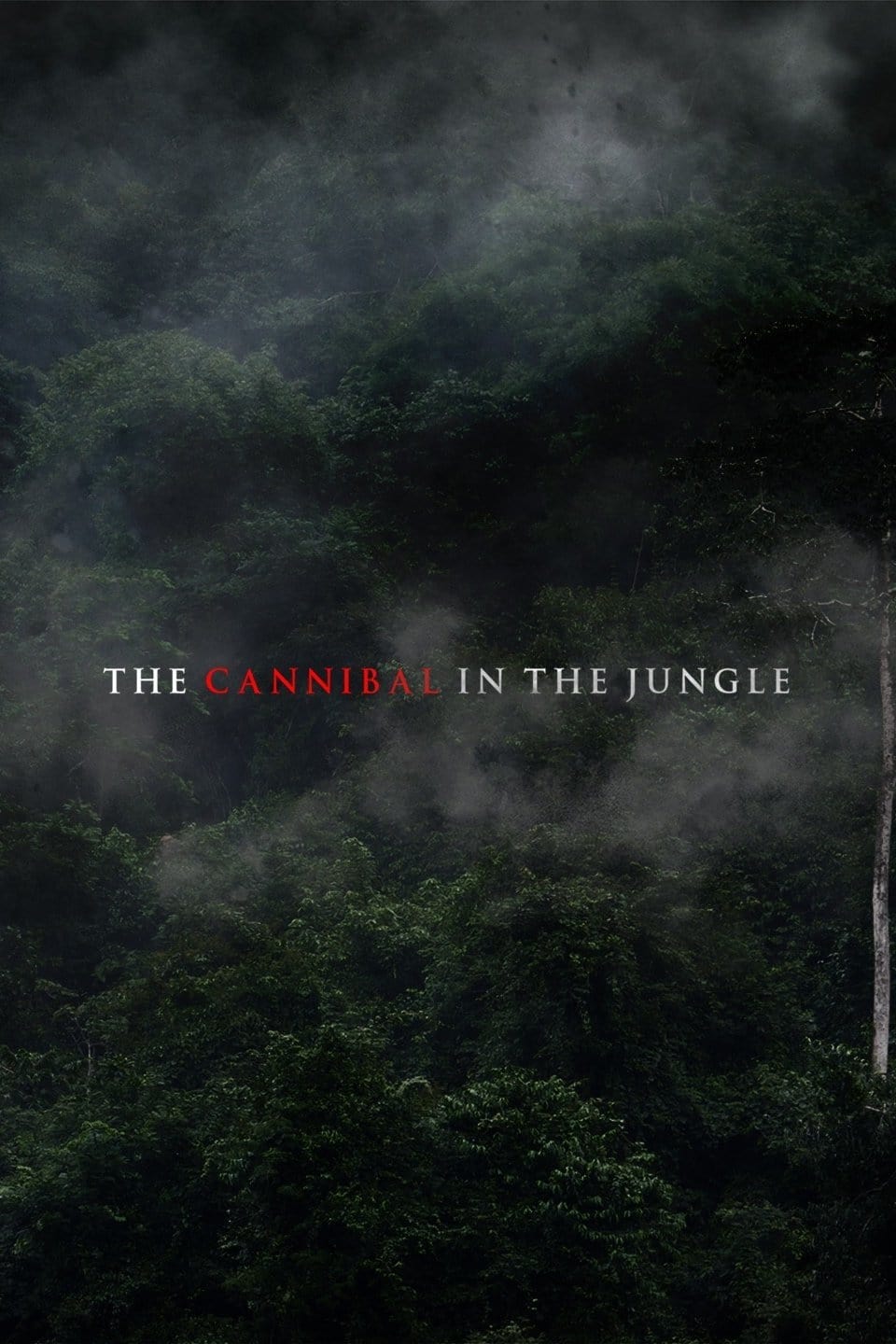 The Cannibal in the Jungle | The Cannibal in the Jungle