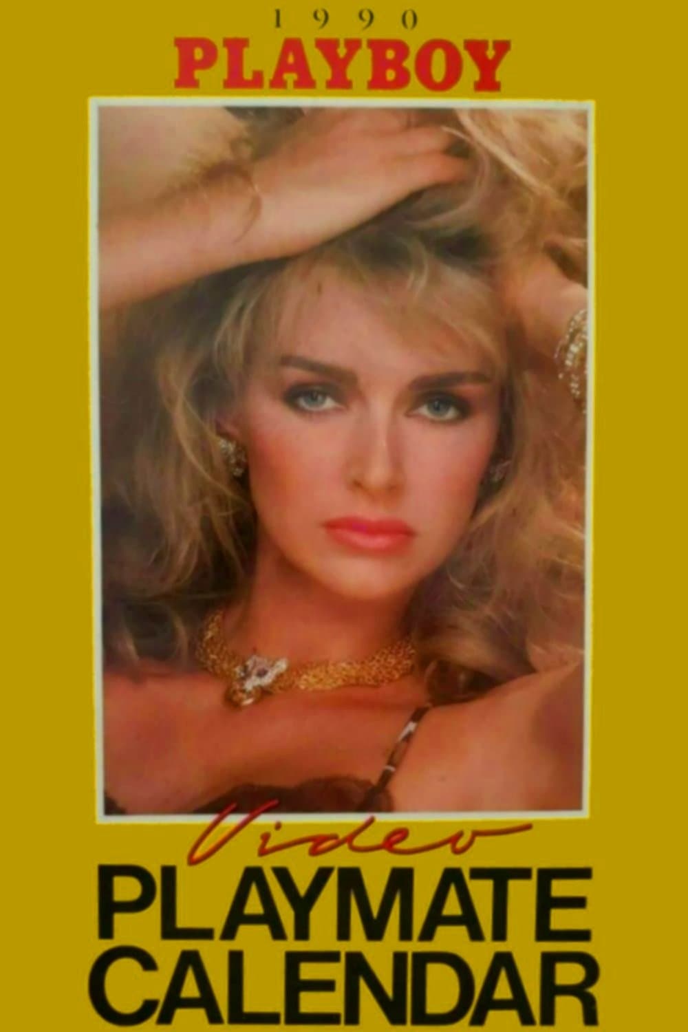 Playboy Video Playmate Calendar 1990 | Playboy Video Playmate Calendar 1990