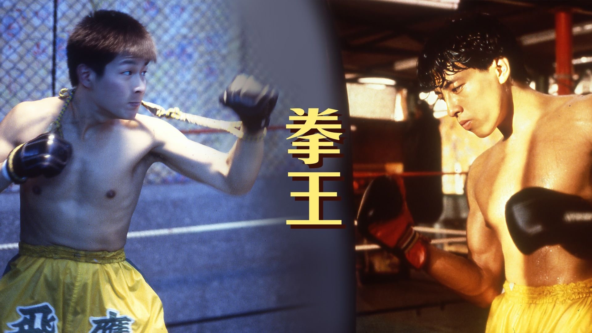 拳王|拳王