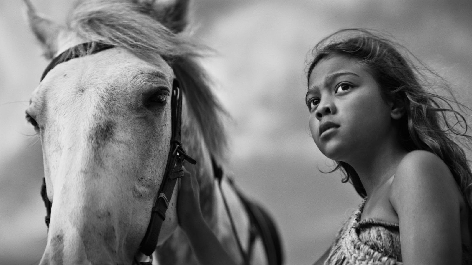 First Horse|First Horse