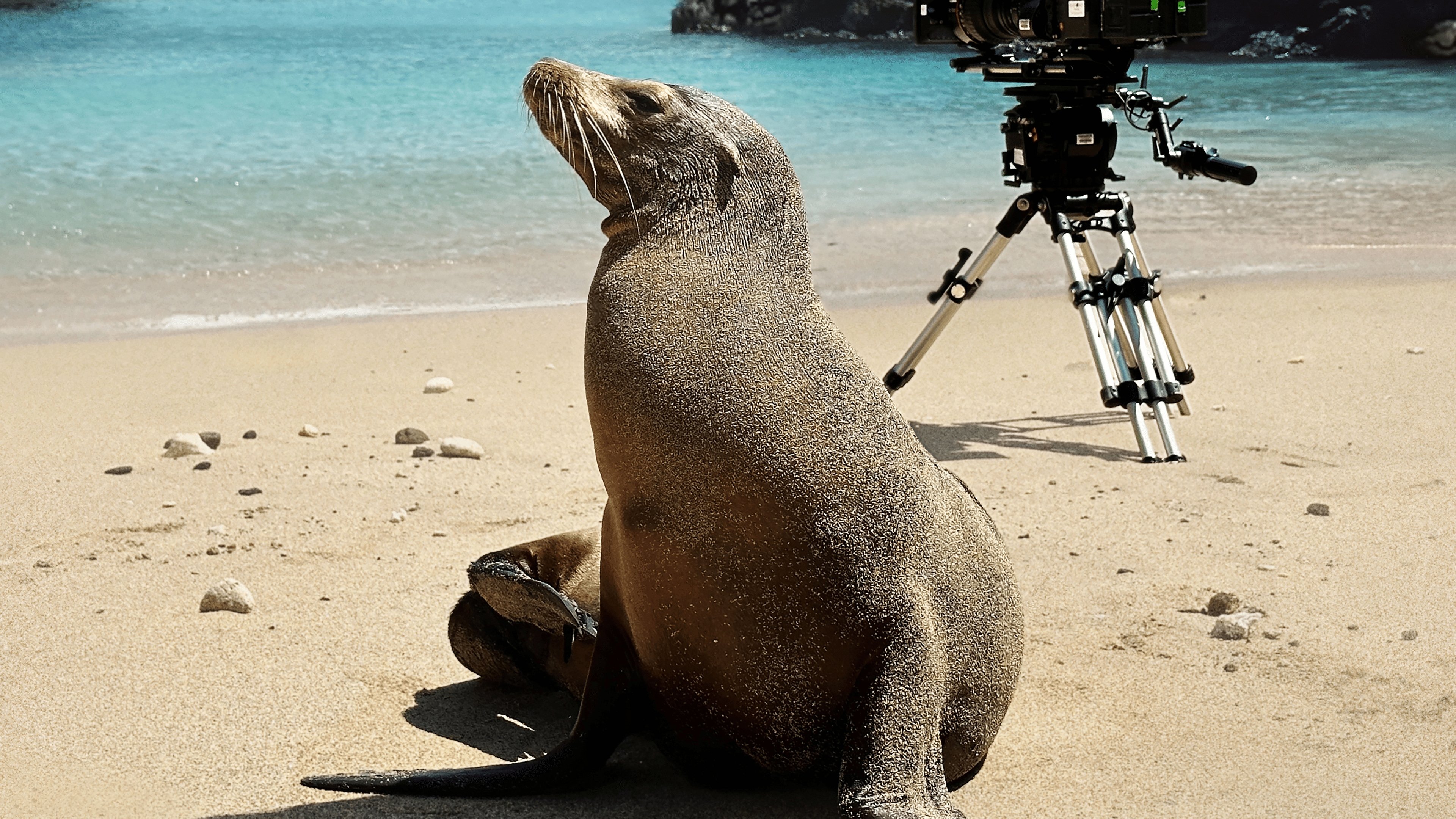 Guardians of the Galapagos|Guardians of the Galapagos