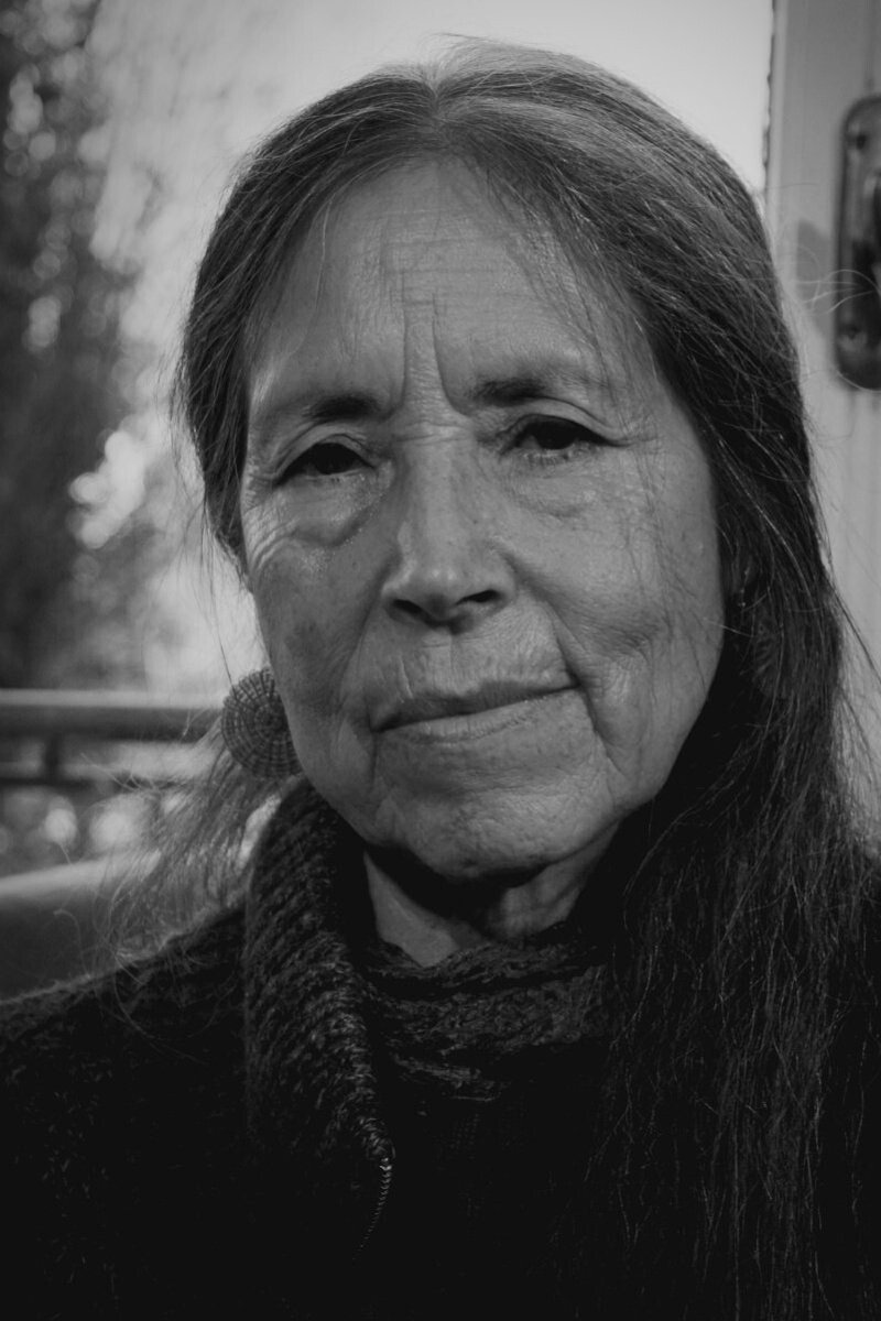 بازیگر Cecilia Vicuña  