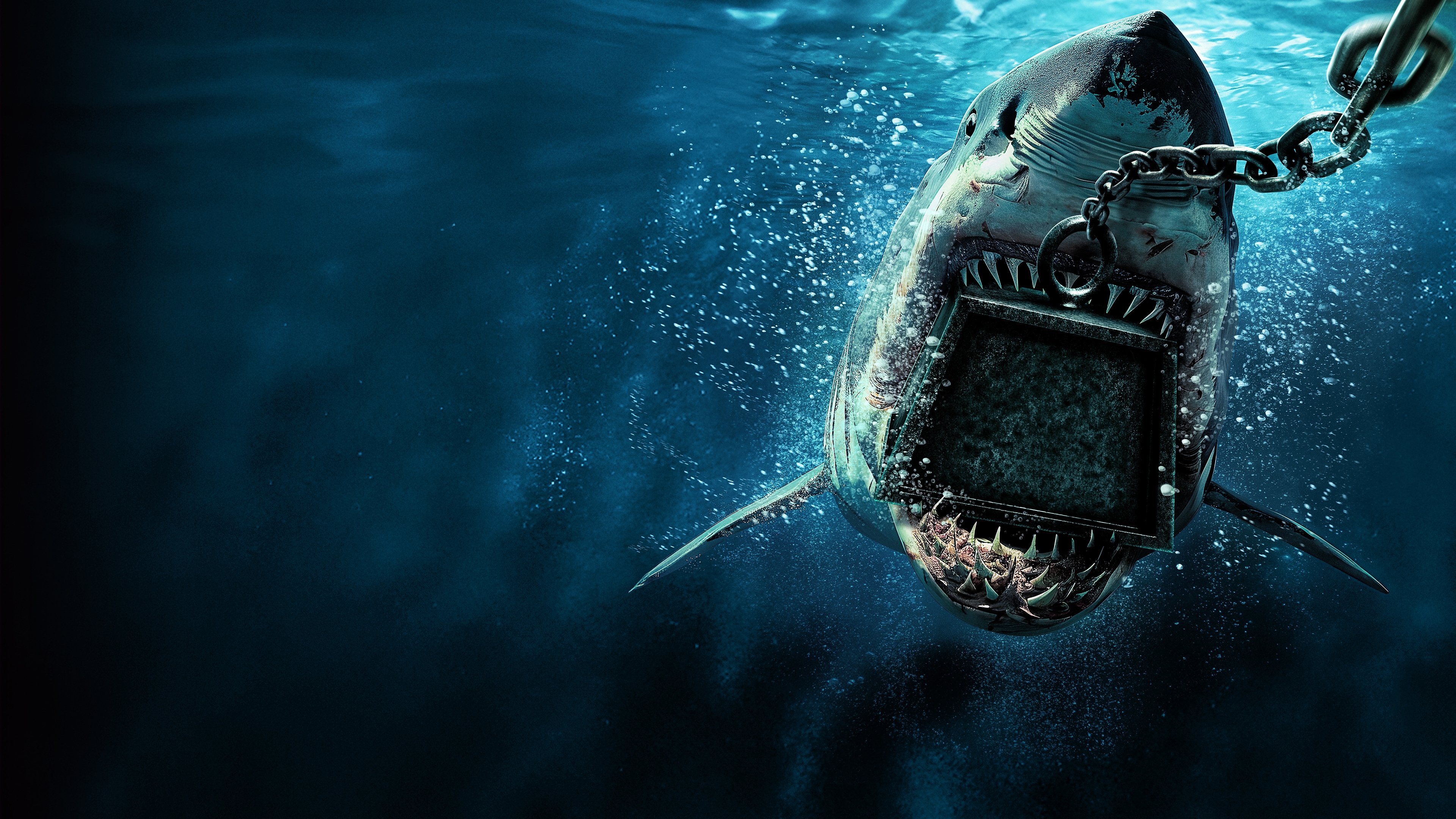 6000-LB. Shark|6000-LB. Shark